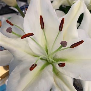 Meet your Posher, Reem